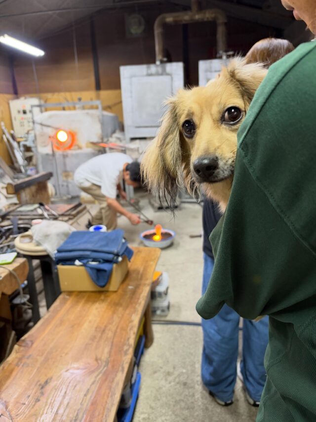 🐾
わんちゃんのあし形作りに来てくださったお客様🐶

ガラスを流し込む作業を見守ってくれてくれていました。

#shiraishiglassstudio 
#白石ガラス工房 
#ガラス体験 
#大月市